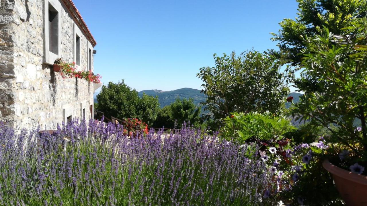 B&B Le Ginestre Viggianello Extérieur photo